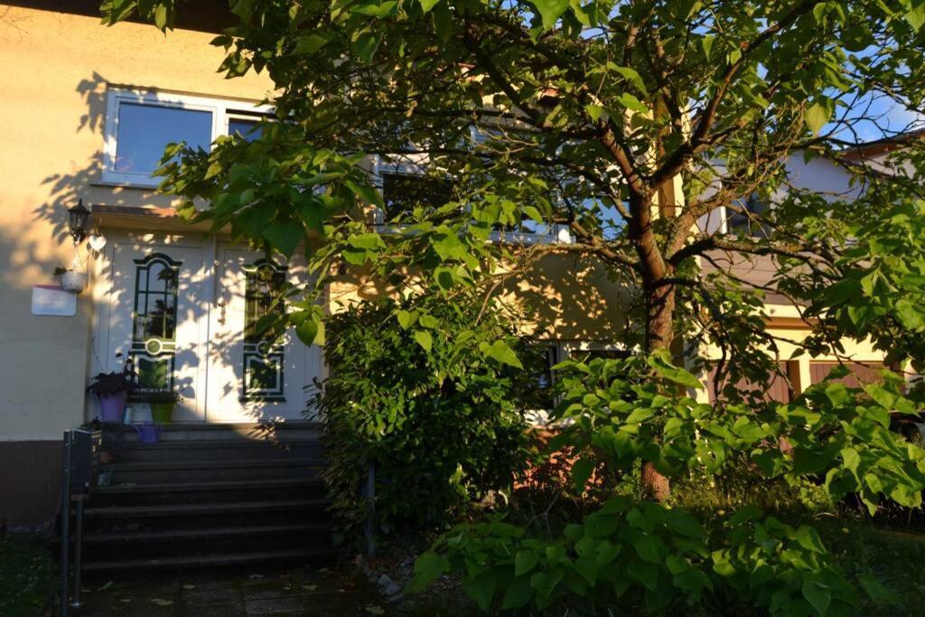 Maison Madlene Frickenhausen  Экстерьер фото